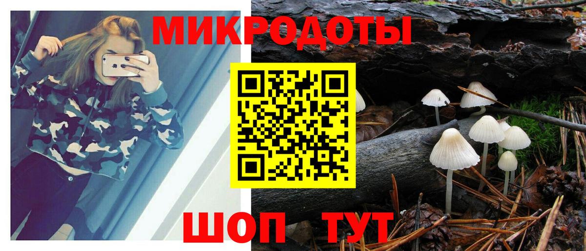 Псилоцибиновые грибы мухоморы  Вход с VPN  купить закладку  Кимры 