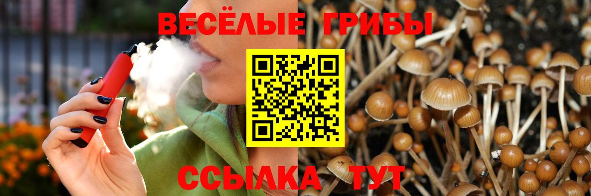 Галлюциногенные грибы MAGIC MUSHROOMS Кимры